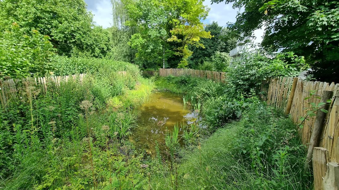 Trademart pool after a year