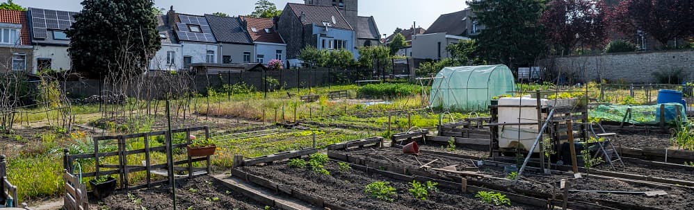 Climate Plan - Food and urban agriculture