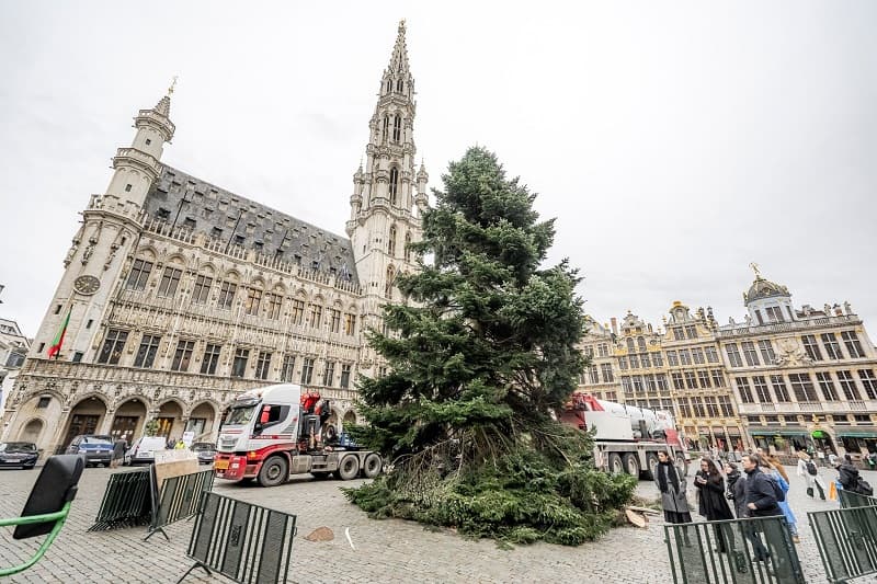 Christmas tree at the Grand-Place