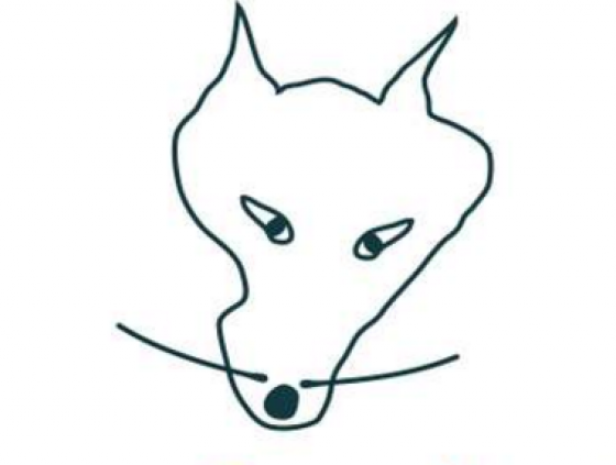 Le Wolf - events and workshops