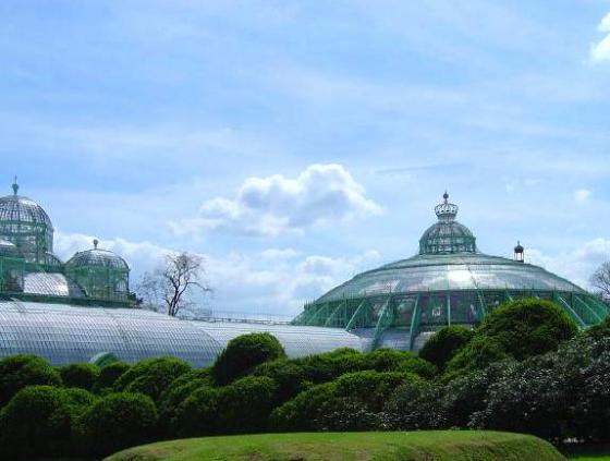 Visit of the Royal Greenhouses of Laeken