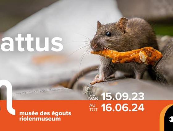 Exhibition. Rattus