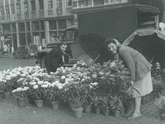 The Gardener of the Grand-Place