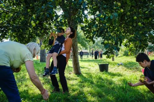 Orchards workshops in Neder-Over-Heembeek