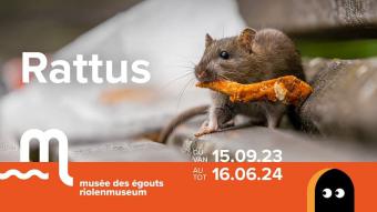 Exhibition. Rattus