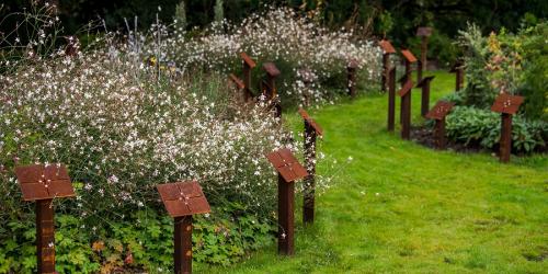 Biodegradable urns at the cemeteries