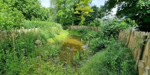 Integrated rainwater management projects in Brussels