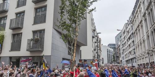 Plantation of the Meyboom