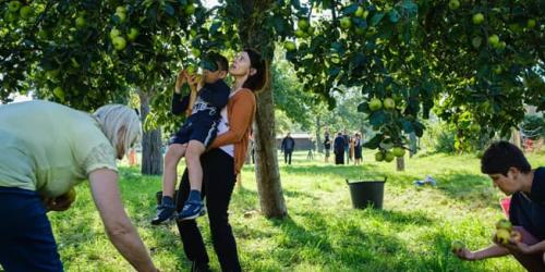 Orchards workshops in Neder-Over-Heembeek