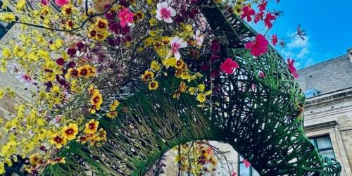 Shops in Bloom 2026