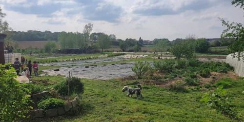 Technical and logistical support for urban gardens