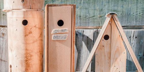 Nest boxes for greater biodiversity