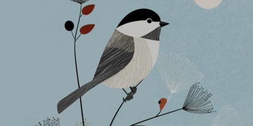 Take part in the Big Bird Count!