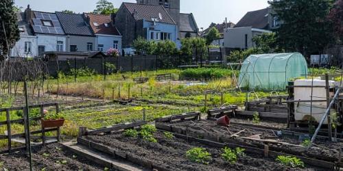 Climate Plan - Food and urban agriculture