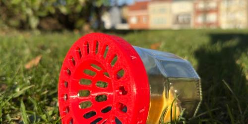 Start this 2026 spring with a trap for the Asian hornet!