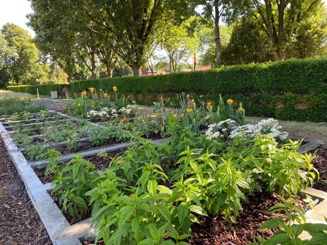 Free flowers at the cemeteries