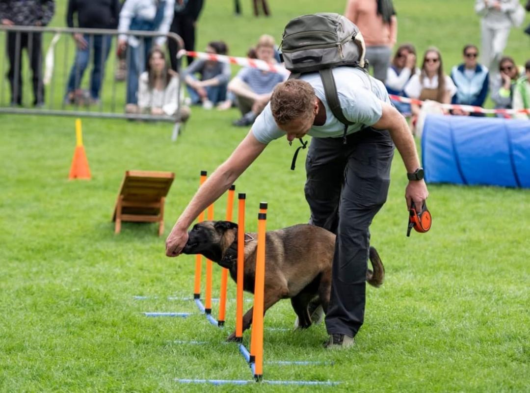 Dog training bonus