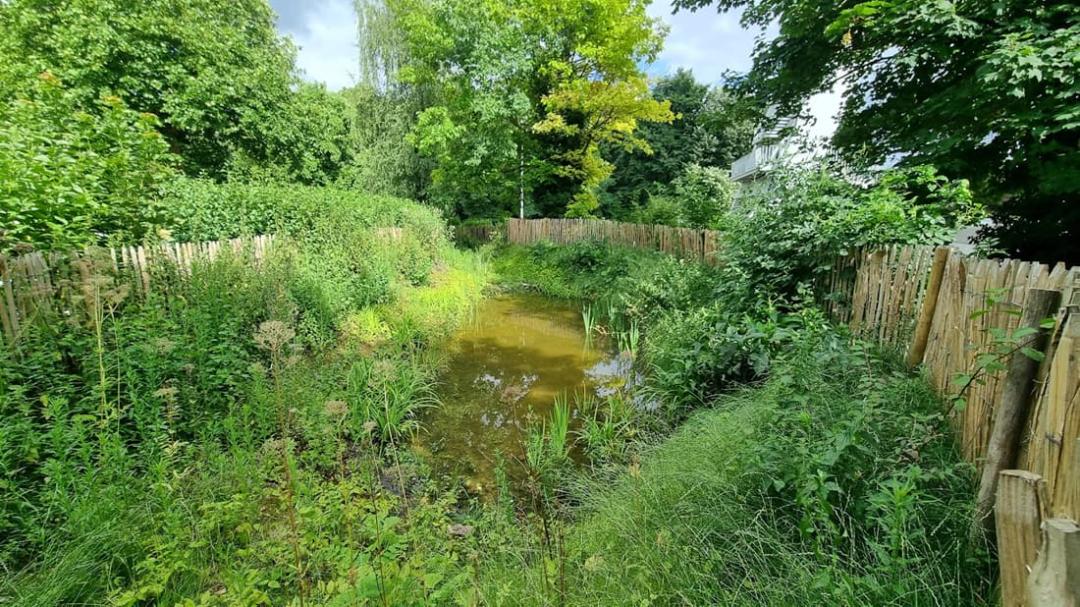 Integrated rainwater management projects in Brussels