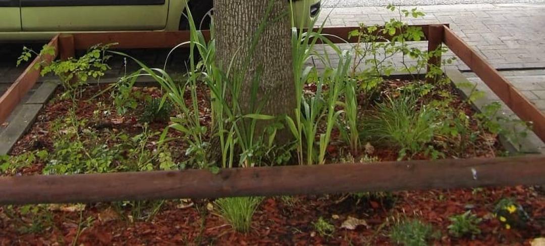 Authorisation to plant flowers and plants in the street