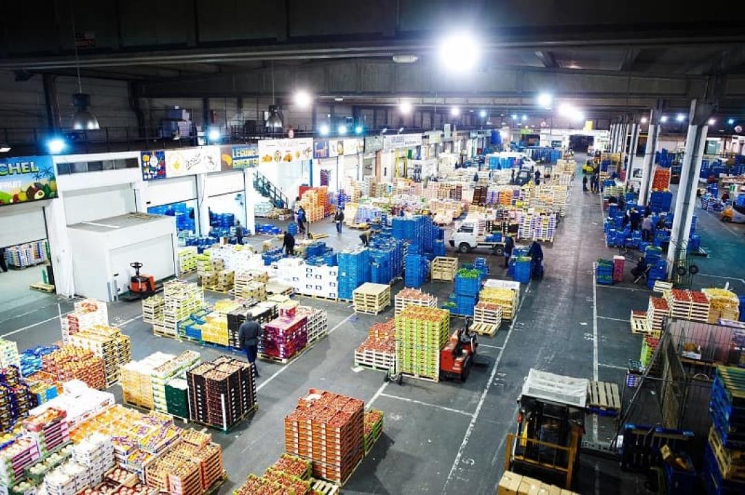Mabru - Wholesale Market