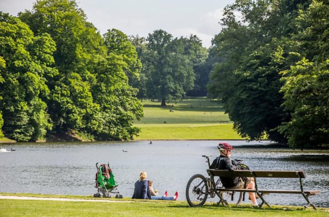 Traffic at the Bois de la Cambre