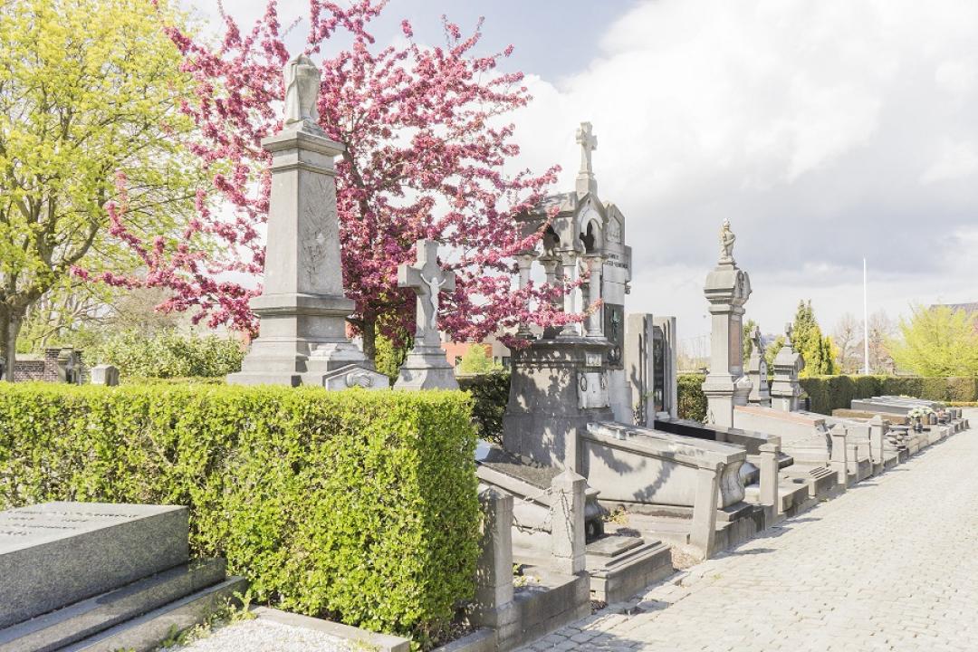Cemetery of Haren