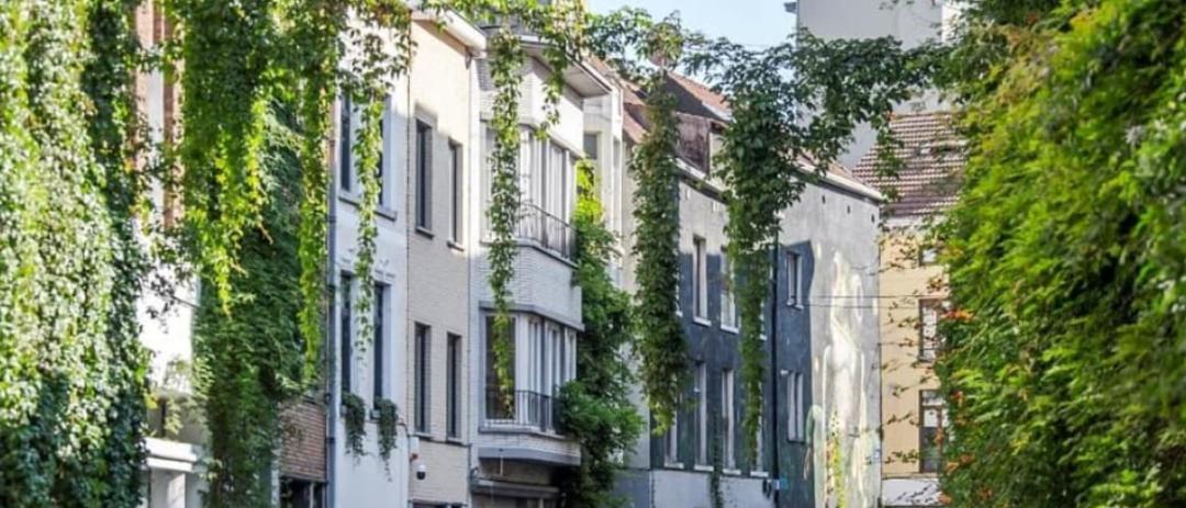 Urban cooling islands