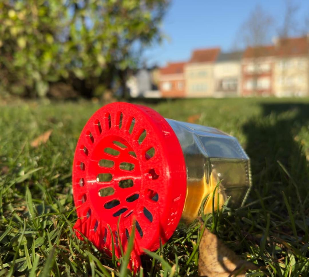 Voorjaarsvangst van de Aziatische hoornaar