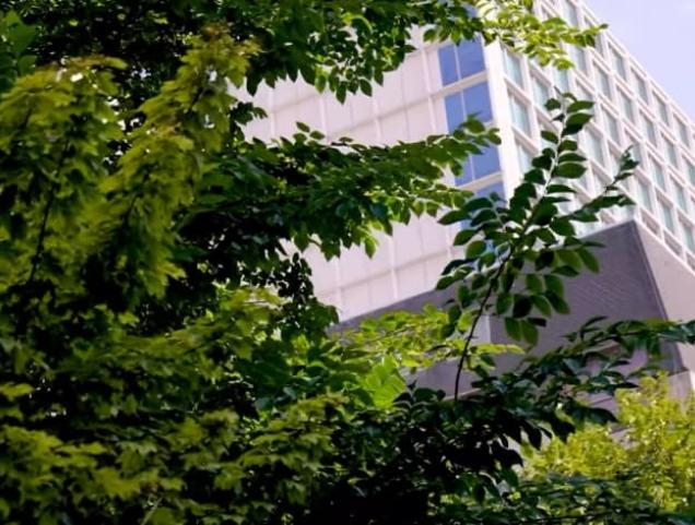 Video 'How the City of Brussels adapts to heat waves?'