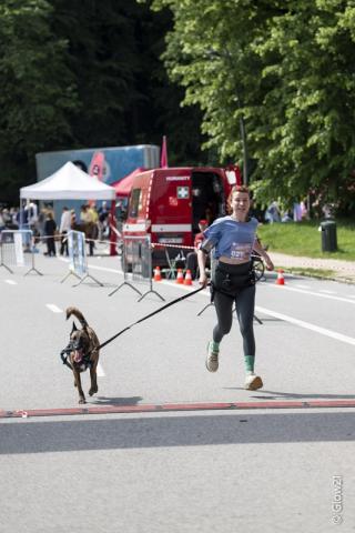 Dogolympics 2026