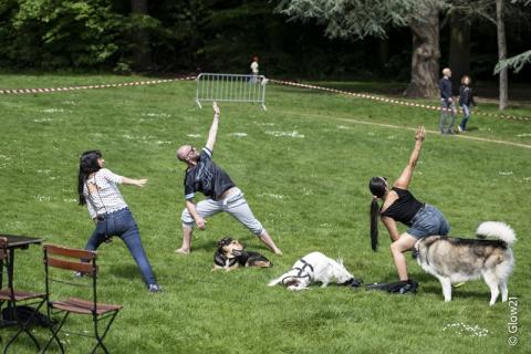 Dogolympics 2026