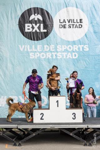 Dogolympics 2026