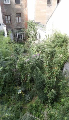 Brussels in flowers winners 2025 - Special Jury Prize for the design and maintenance of the most welcoming space for animals - 1. Thornburn Elizabeth