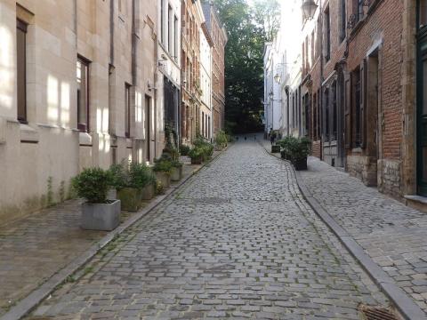 Winners of Brussels in flowers 2024 - Institutions - 1. Lavoye Marie-France for the 'Comité de quartier Ruysbroeck-Sablon asbl'