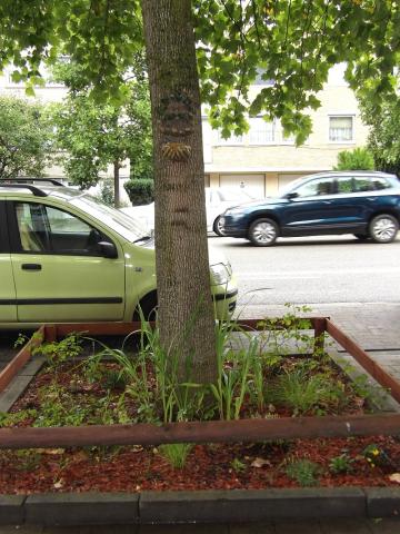 Winners of Brussels in flowers 2024 - Micro garden - 2. Cholak Sevim and Blochet Marcelle