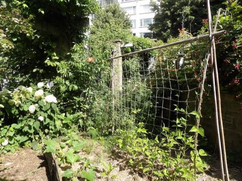 Winners of Brussels in flowers 2024 - Vegetable garden - 1. Beeldens Danielle for Collectif Autour de Marguerite