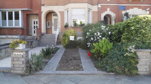 Brussels in flowers winners 2025 - Small garden - 3. Buelens Denise