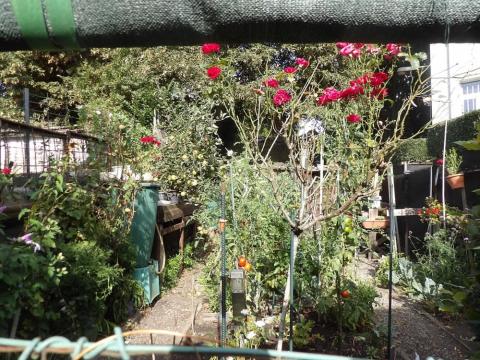 Brussels in flowers winners 2025 - Vegetable garden - 3. Scaron Axel