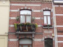 Winners of 'Brussels in flowers 2021' - Balcony - 1. Guillaume Françoise - click to enlarge