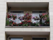 Winners of 'Brussels in flowers 2021' - Balcony - 2. Thyssen Marie - click to enlarge