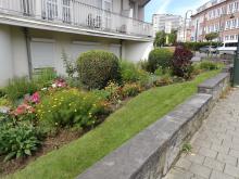 Winners of 'Brussels in flowers 2021' - Small gardens - 1. Nolf Clothilde - click to enlarge