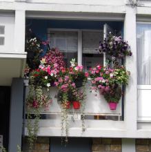 Winners of 'Brussels in flowers 2023' - Balcony - 3. Gennuso Giuseppina - click to enlarge